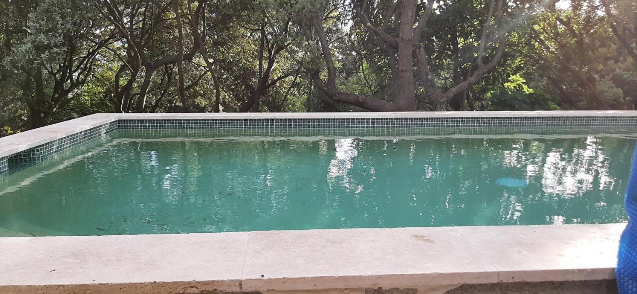 Bed and Breakfast Au Papillon Dort Seillons-Source-d'Argens Exterior foto